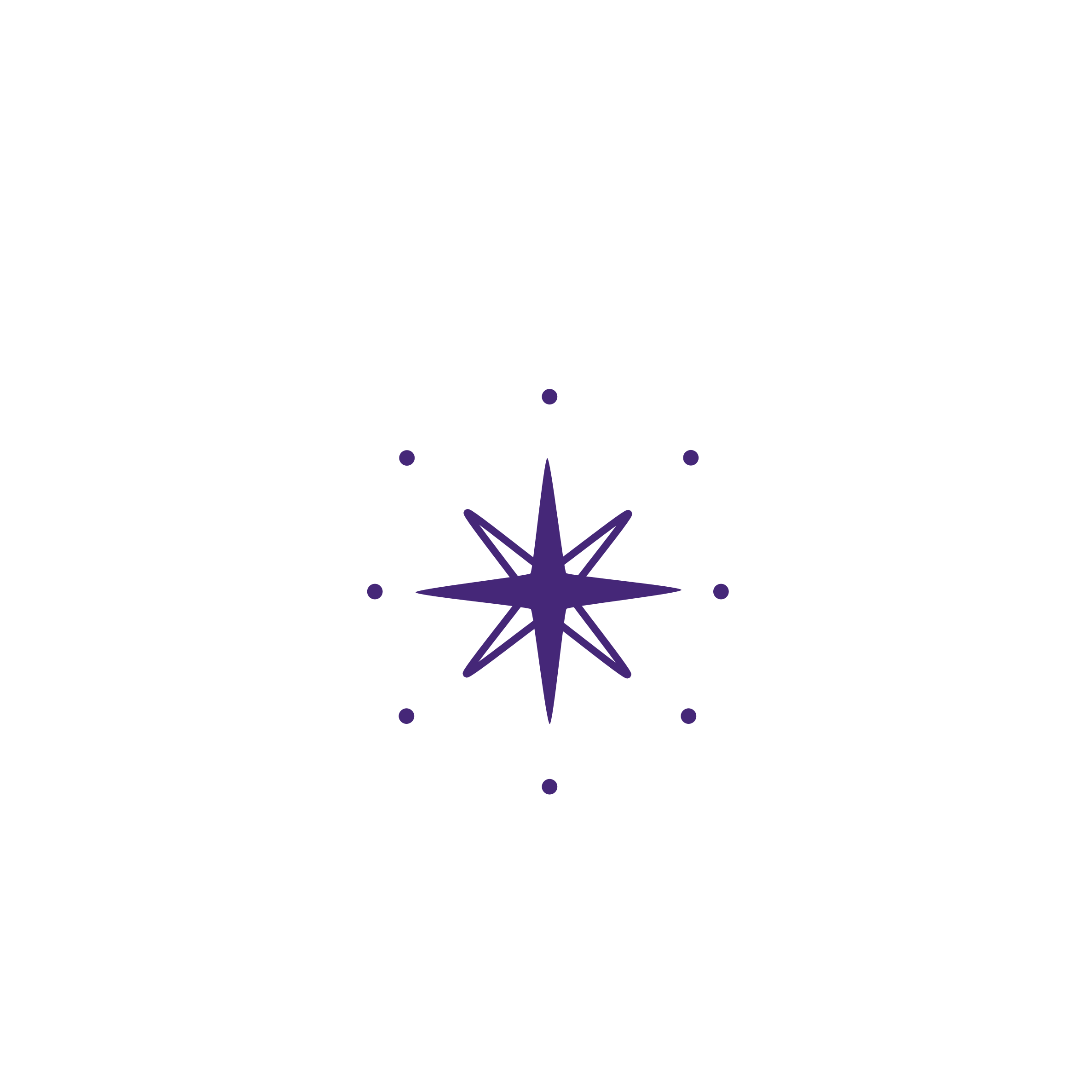 LaNEM